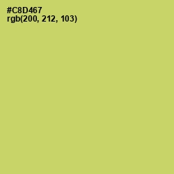 #C8D467 - Tacha Color Image