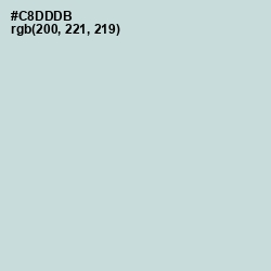 #C8DDDB - Nebula Color Image