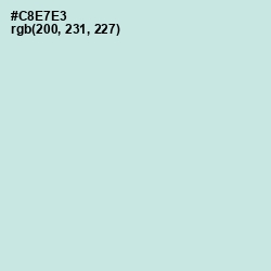 #C8E7E3 - Jagged Ice Color Image