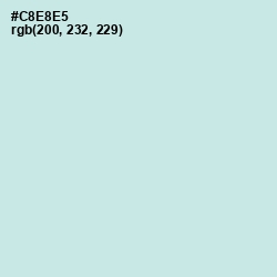 #C8E8E5 - Jagged Ice Color Image