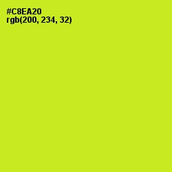 #C8EA20 - Pear Color Image