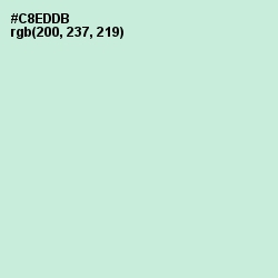 #C8EDDB - Skeptic Color Image