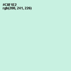 #C8F1E2 - Mint Tulip Color Image