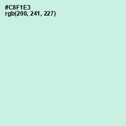 #C8F1E3 - Mint Tulip Color Image