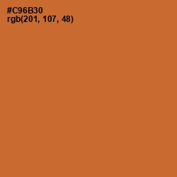 #C96B30 - Piper Color Image