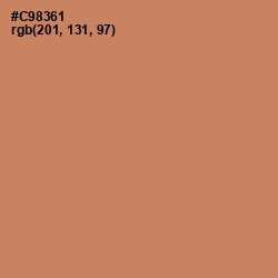 #C98361 - Antique Brass Color Image