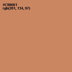 #C98661 - Antique Brass Color Image
