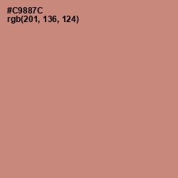 #C9887C - New York Pink Color Image