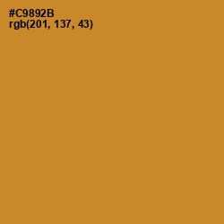 #C9892B - Brandy Punch Color Image