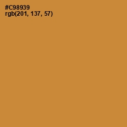 #C98939 - Brandy Punch Color Image