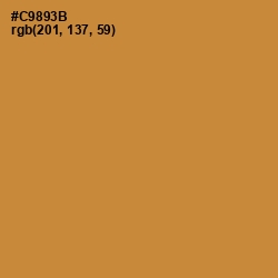 #C9893B - Brandy Punch Color Image