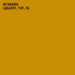 #C98D06 - Pizza Color Image