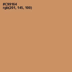 #C99164 - Antique Brass Color Image