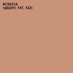 #C9937A - Burning Sand Color Image