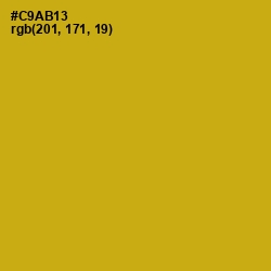 #C9AB13 - Buddha Gold Color Image