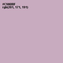 #C9ABBF - Lily Color Image
