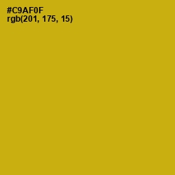 #C9AF0F - Buddha Gold Color Image