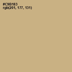 #C9B183 - Sorrell Brown Color Image