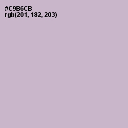 #C9B6CB - Gray Suit Color Image