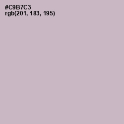 #C9B7C3 - Pale Slate Color Image