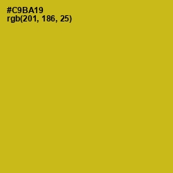#C9BA19 - Gold Tips Color Image