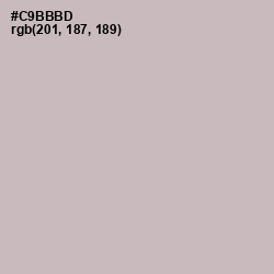 #C9BBBD - Cold Turkey Color Image