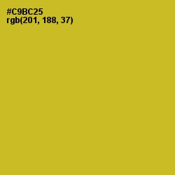 #C9BC25 - Earls Green Color Image