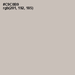 #C9C0B9 - Silver Rust Color Image