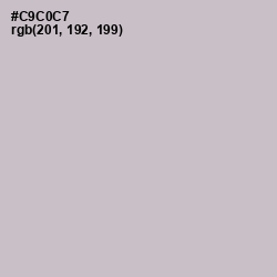 #C9C0C7 - Silver Color Image