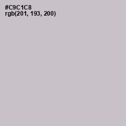 #C9C1C8 - Silver Color Image