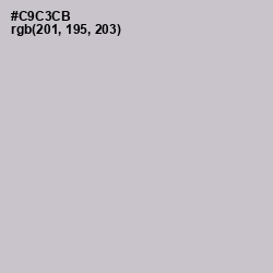 #C9C3CB - Pumice Color Image