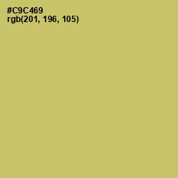 #C9C469 - Tacha Color Image