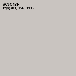 #C9C4BF - Silver Rust Color Image