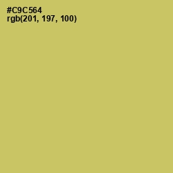 #C9C564 - Tacha Color Image