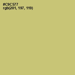 #C9C577 - Tacha Color Image