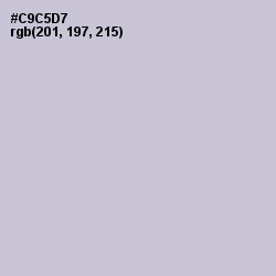 #C9C5D7 - Ghost Color Image