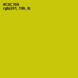 #C9C709 - Bird Flower Color Image