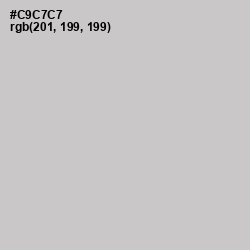 #C9C7C7 - Pumice Color Image
