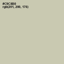 #C9C8B0 - Foggy Gray Color Image