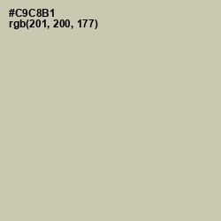 #C9C8B1 - Foggy Gray Color Image