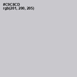 #C9C8CD - Pumice Color Image