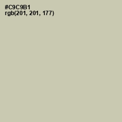 #C9C9B1 - Foggy Gray Color Image