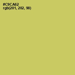 #C9CA62 - Tacha Color Image