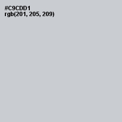 #C9CDD1 - Ghost Color Image