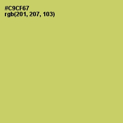 #C9CF67 - Tacha Color Image