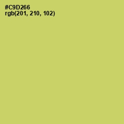 #C9D266 - Tacha Color Image