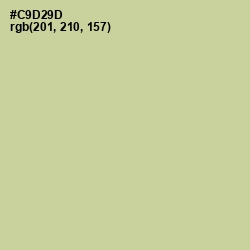 #C9D29D - Deco Color Image