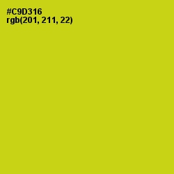 #C9D316 - Bird Flower Color Image