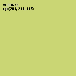 #C9D673 - Chenin Color Image
