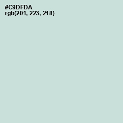 #C9DFDA - Nebula Color Image